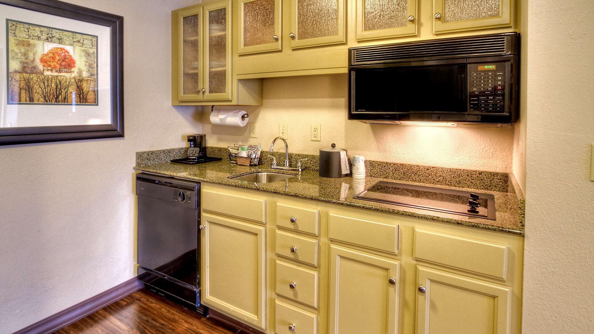 Hotel Hampton & Nashville-vanderbilt-elliston Place Nashville