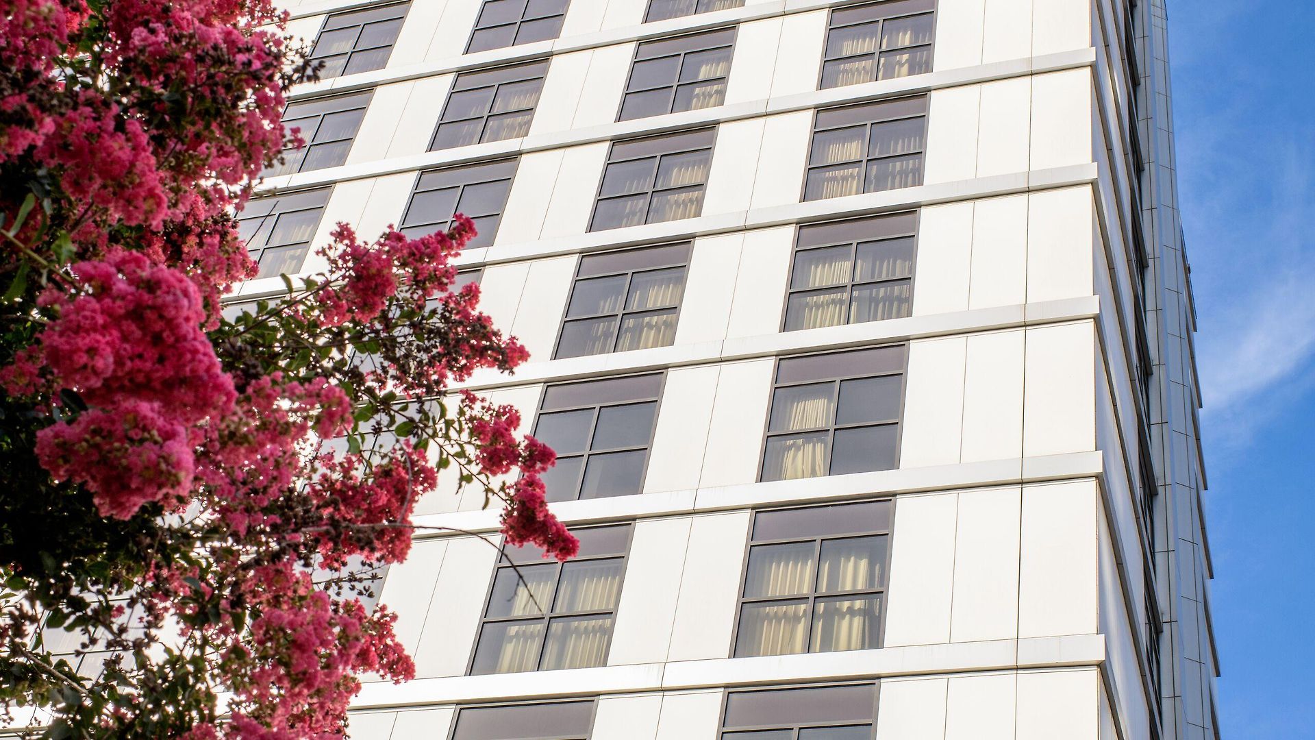Hotel Hutton Hotel, Nashville, A Tribute Portfolio
