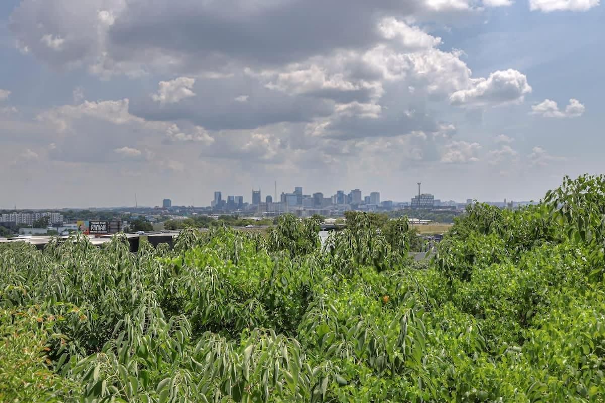 Bless Your Heart By Local * Nashville