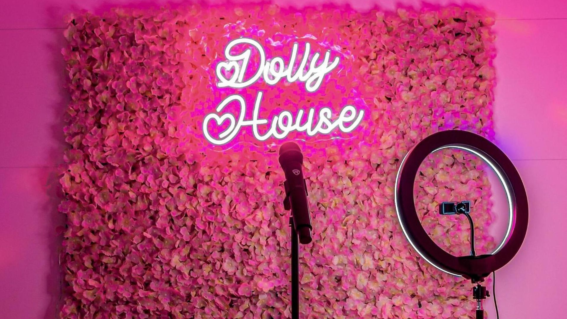Hottub/karaoke-10m Dt-beg Your Parton? Dolly's Hm * Nashville