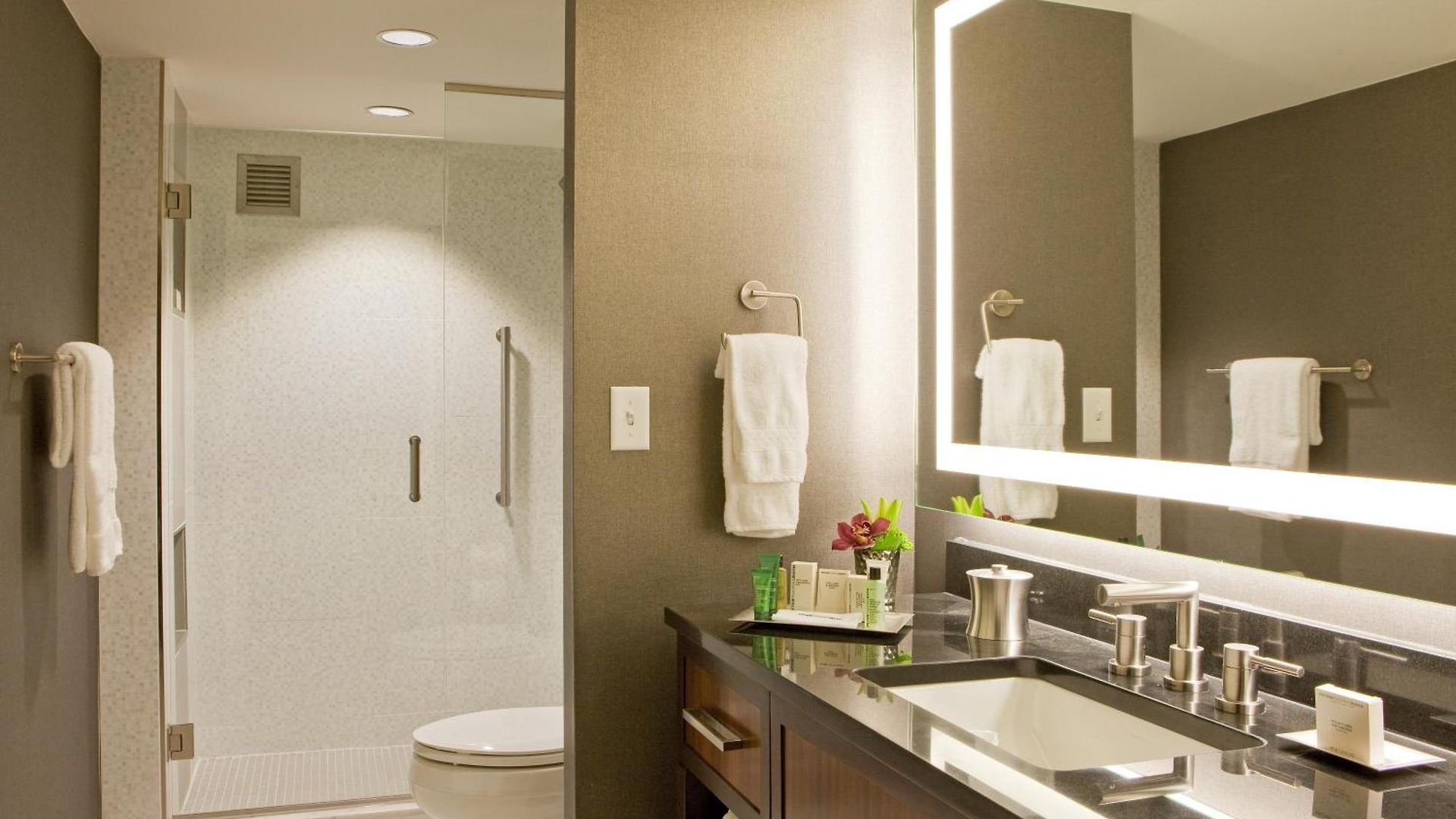 Hotel Hilton Downtown 4*