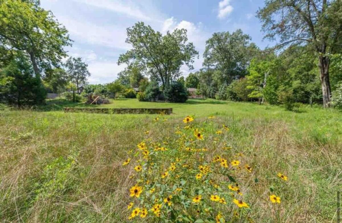 Charming In A Historic Quiet Haven Holiday home Nashville