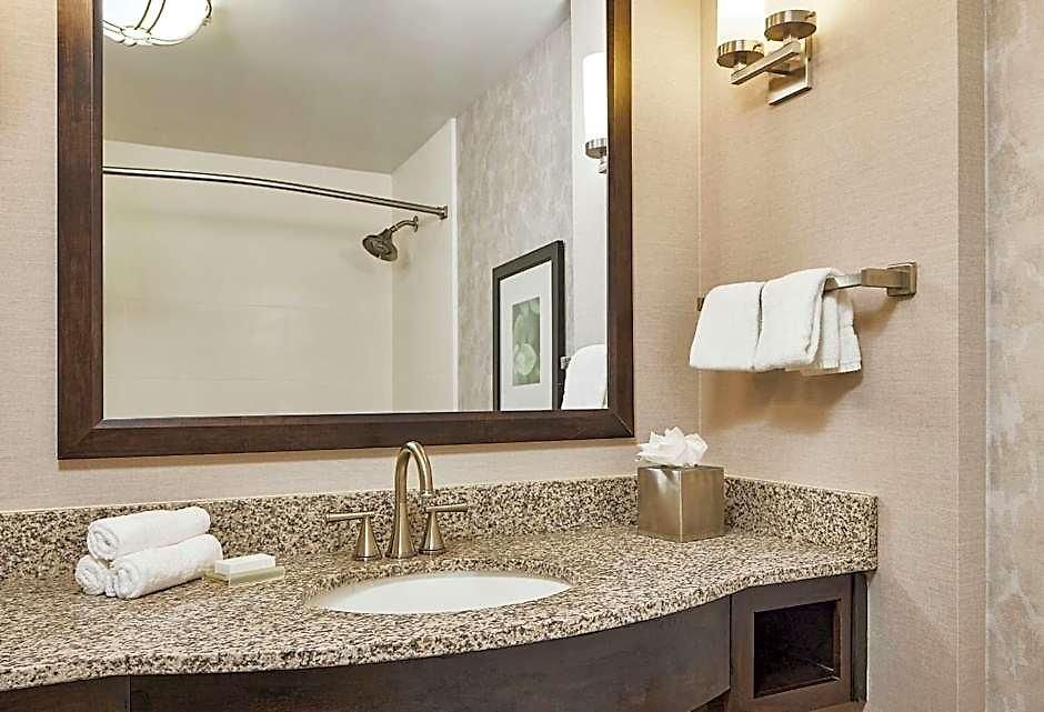 Hilton Garden Downtown Convention Center Hotel 3*