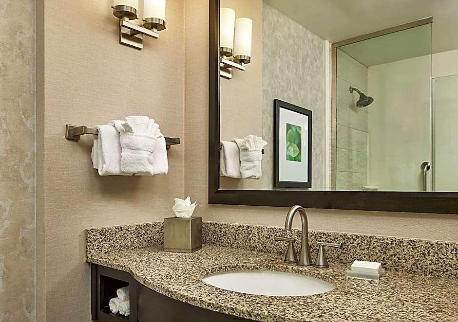 Hilton Garden Downtown Convention Center 3*