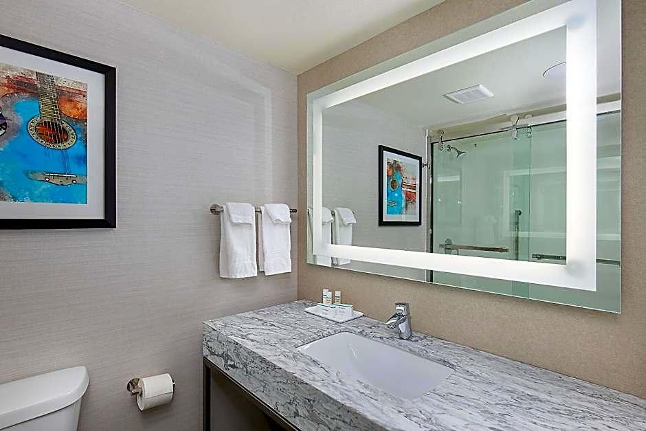 Hilton Garden Airport 3*