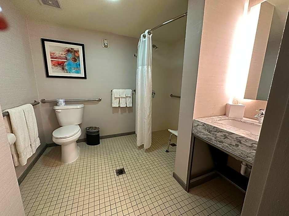 Hilton Garden Airport Hotel Nashville