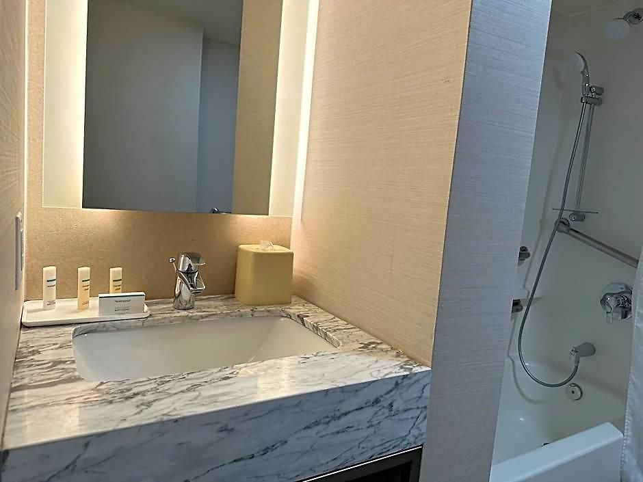 Hotel Hilton Garden Airport 3*