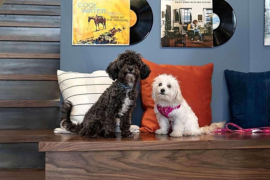 Moxy Vanderbilt Area 3* Nashville
