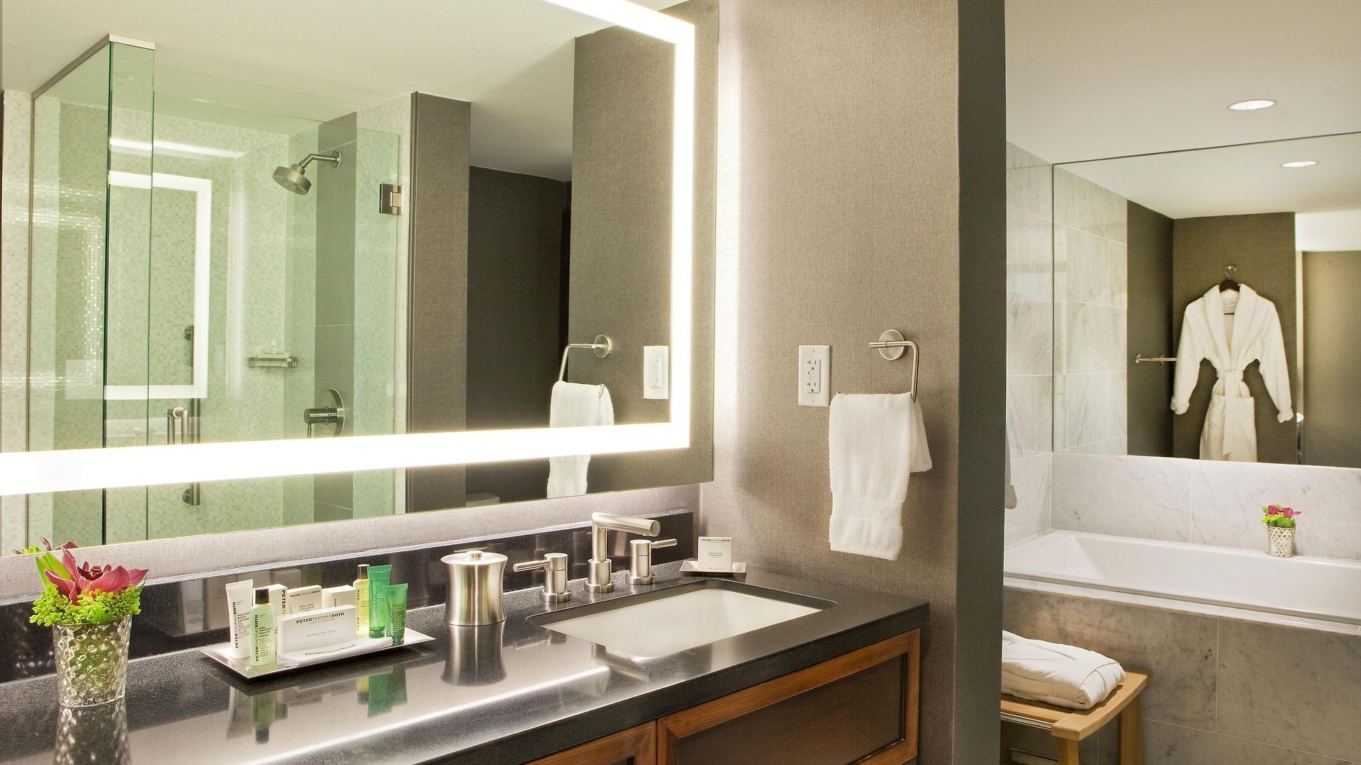 Hotel Hilton Downtown 4*
