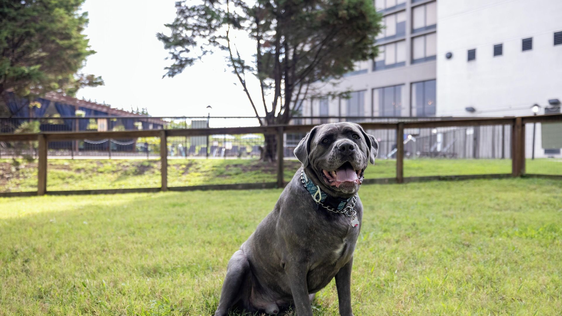 Delta By Marriott Airport 3* Nashville