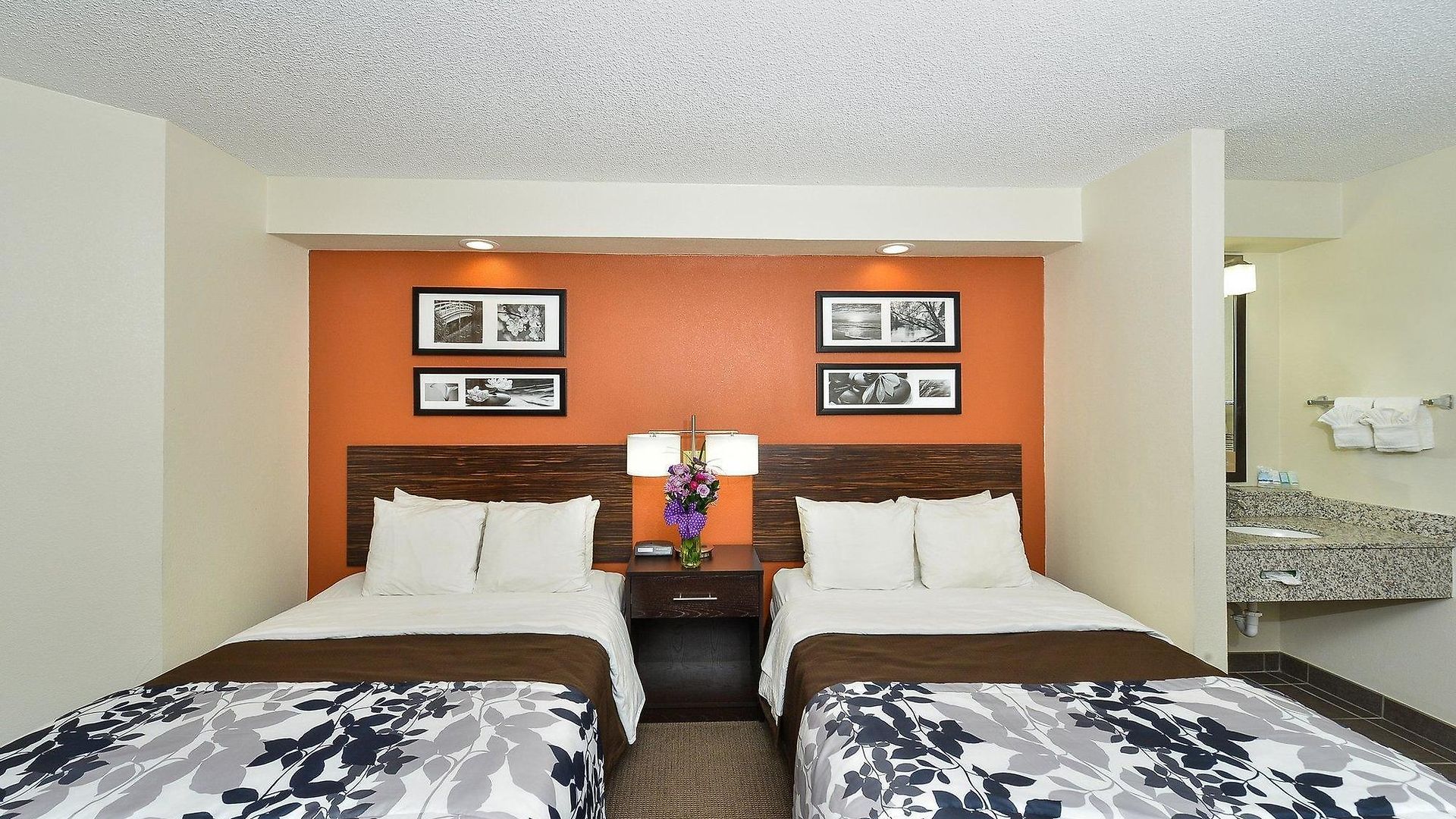 Sleep Near Percy Priest Inn 4*