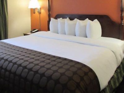 Comfort & Downtown - Stadium Hotel Nashville