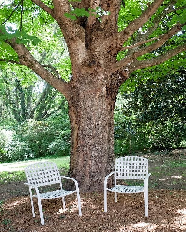 Southern Charm 2 Bedroom In East Guest house *