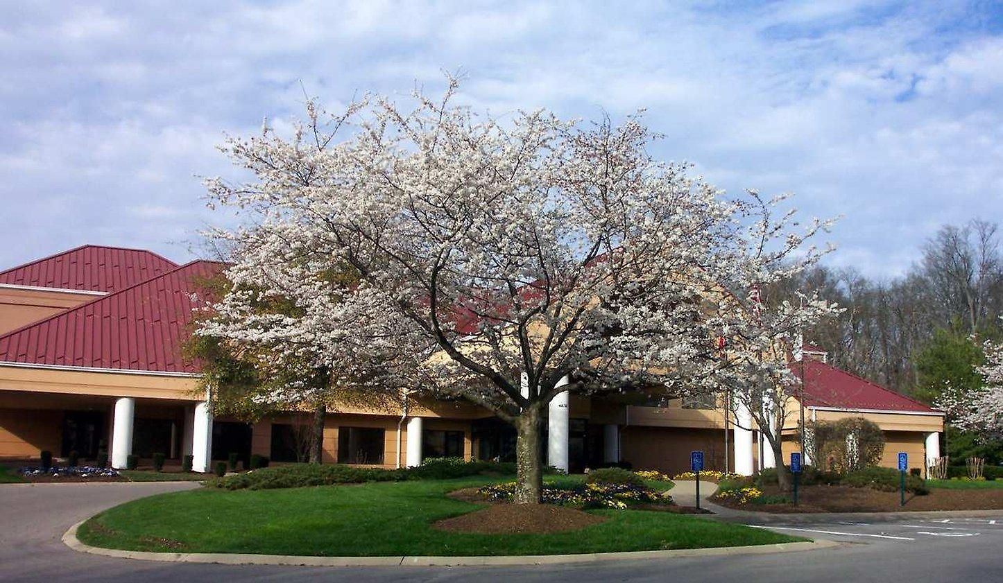 Doubletree By Hilton Airport