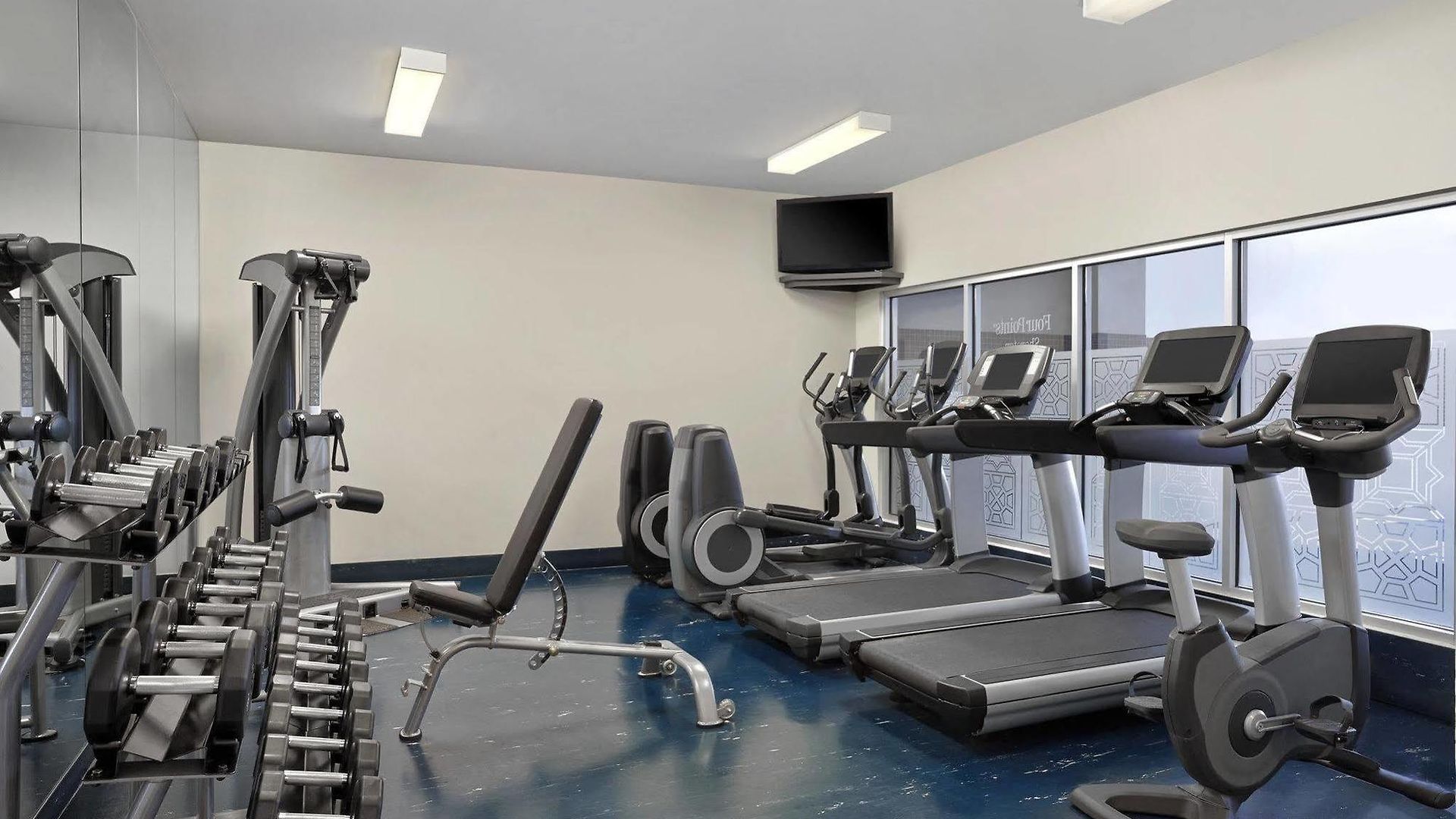 Hotel Four Points By Sheraton Airport 3*