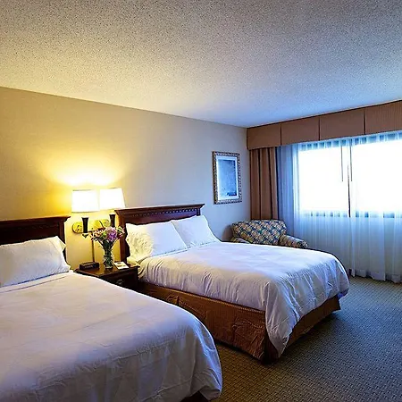 Radisson Airport Hotel 4*