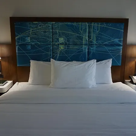 Red Lion & Airport Hotel 2*