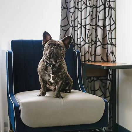 Hotel Holston House Nashville, In The Unbound Collection By Hyatt 4*