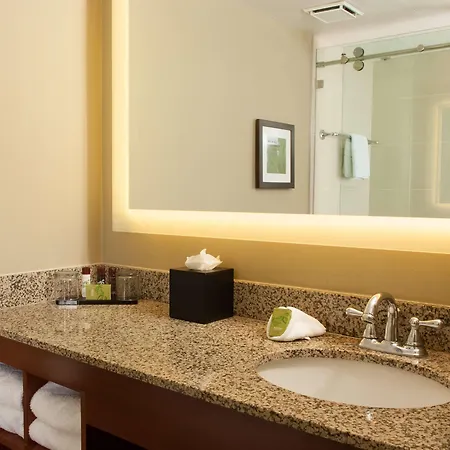 Embassy By Hilton Airport Hotel 4*