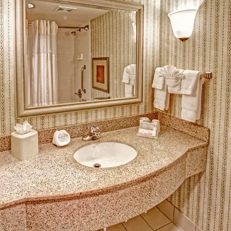 Hilton Garden Airport Hotel