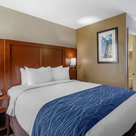 Inn Comfort - Opryland Area Nashville