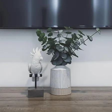 The Urban Fern * Nashville