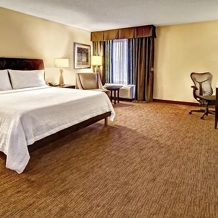 Hotel Hilton Garden Airport 3*