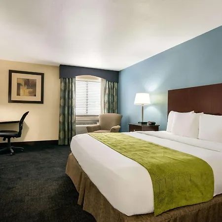 Hotel Luxe