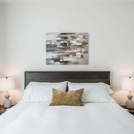 Brand New 4 Bedroom 4bath Townhome With Amazing Rooftop! Holiday home