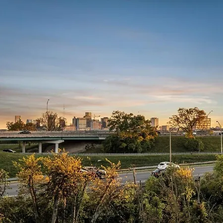 Double Lux 26beds 2 Rooftop Views Free Parking Holiday home Nashville