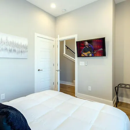 Triple Fret - 3 Townhomes - Rooftop Hot Tub Nashville