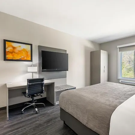 Hotel Quality & Joelton - 5*