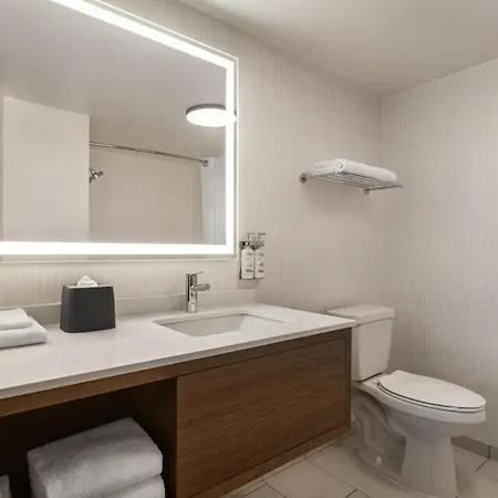 Hotel Downtown - Stadium By Ihg 3*