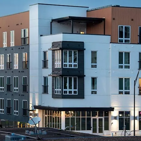 Jolene On Main - East Nash - 1 Mile To Dtnash - New Apartment *