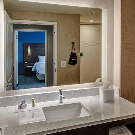 Hotel By Marriott At Opryland 3*