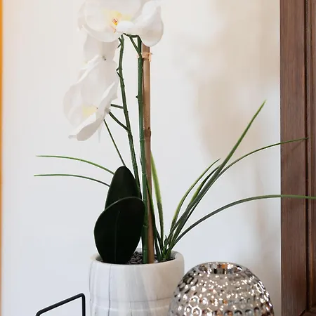The Daffodil By Local Apartment *