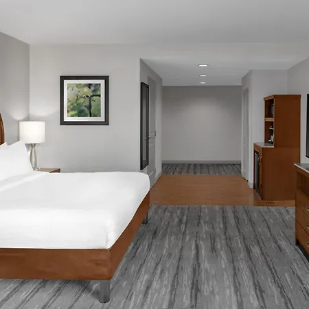 Hilton Garden Downtown Convention Center 3*