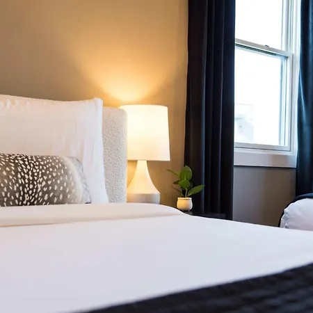 Modern Stunner 5 Min To Dt Hot Tub Rooftop Views * Nashville