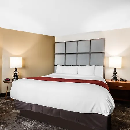 Comfort & Near Tanger Outlets I-24 Antioch Hotel 4*