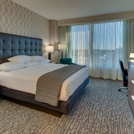 Drury Plaza Downtown Hotel 4*