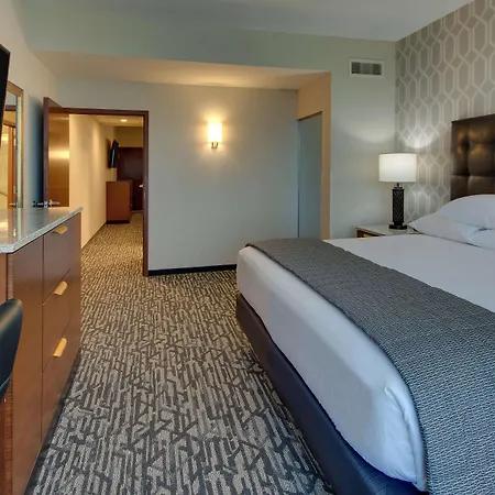 Drury Plaza Downtown 4*