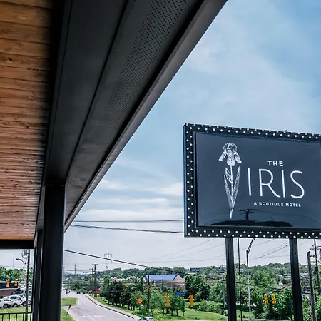 The Iris