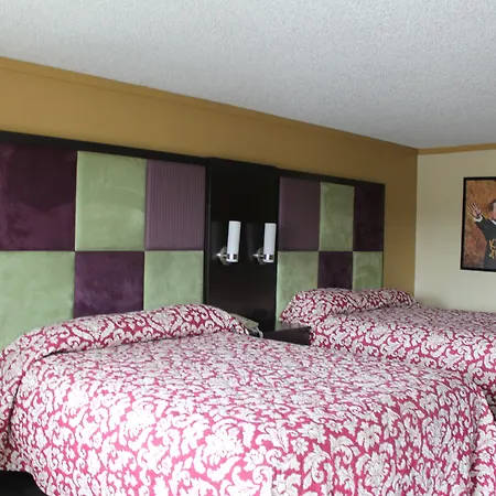 Executive & Hotel
