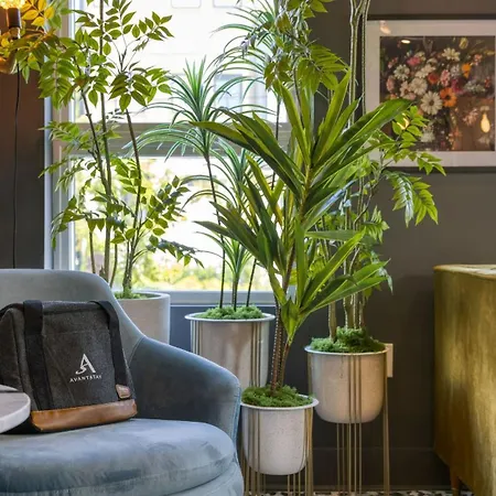 Holiday home The Bloom House By Avantstay