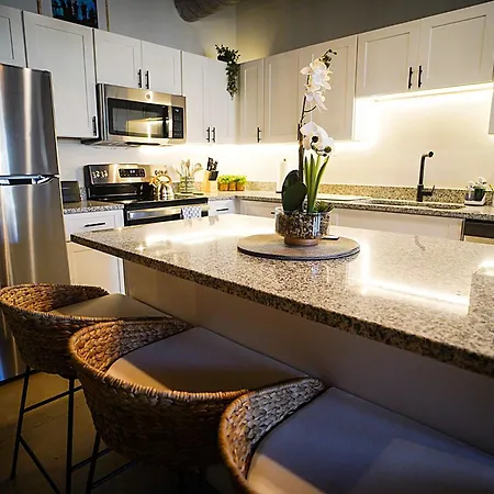 Modern 1br Just Minutes To Downtown Apartment *