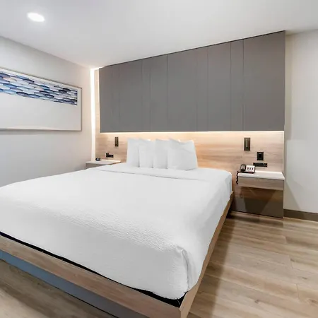 The Capitol Downtown, An Ascend Collection Nashville