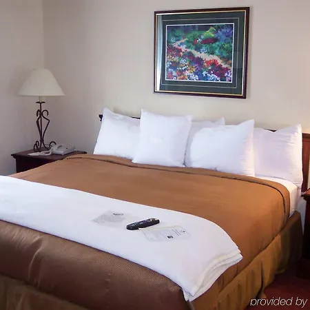Homewood Airport Hotel 3*