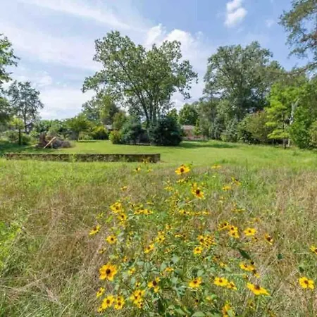 Charming In A Historic Quiet Haven Holiday home Nashville