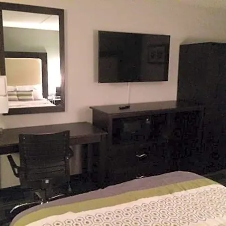 Lotus And Motel 2*