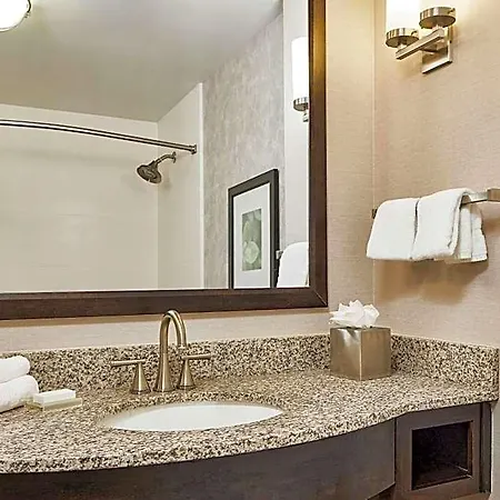 Hilton Garden Downtown Convention Center Hotel 3*